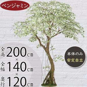人工観葉 大型 特大 おしゃれ ベンジャミン フ...の商品画像