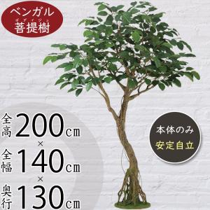 人工観葉 大型 特大 おしゃれ フェイクグリーン リアル インテリアグリーン おすすめ 観葉植物 造花 アートグリーン オブジェ ベンガル菩提樹 コアッド 200cm