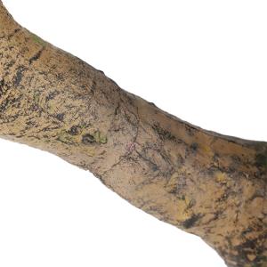 人工観葉 大型 特大 おしゃれ フェイクグリー...の詳細画像5