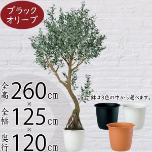 オリーブ 人工観葉植物 大型 特大 おしゃれ フ...の商品画像