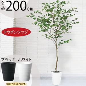 フェイクグリーン 大型 特大 おしゃれ 人気 インテリアグリーン リアル