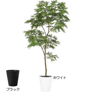 フェイクグリーン エバーフレッシュ おしゃれ リアル 人気 おすすめ 観葉植物 人工観葉 人工樹木 造花 ねむの木 ネムノキ 本物そっくり 鉢付き 大型 特大 180cm｜keishin