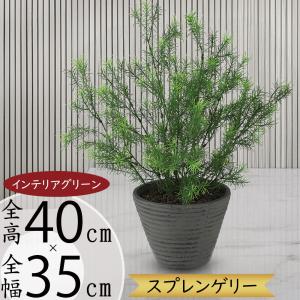 イケア（IKEA） FEJKA/フェイカ 人工観葉植物180cm 竹(206.106.08