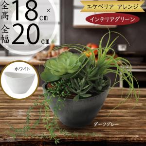 インテリアグリーン おしゃれ 小型 観葉植物 多肉植物 エケベリア フェイクグリーン リアル 人気 おすすめ インテリア 造花 小さい 小さめ ミニ 卓上サイズ 18cm