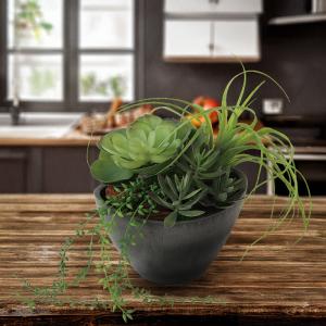 インテリアグリーン おしゃれ 小型 観葉植物 ...の詳細画像5