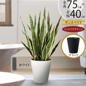 フェイクグリーン/オリジナルデザインのサンセベリア 96cm
