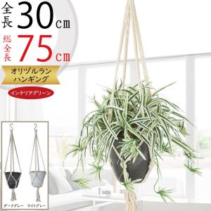 人工観葉植物 エバーフレッシュ 148cm（インテリア 造花・フェイク