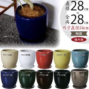 植木鉢 大型 受け皿付き おしゃれ 人気 おすすめ プランター 園芸鉢