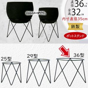 アガベ、陶器製ポッド、アイアンスタンドの3点セット imgrc0091987845.jpg