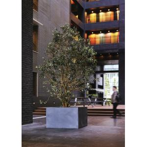 植木鉢 おしゃれ プランター 大型 観葉植物 ...の詳細画像4