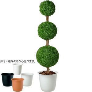 インテリアグリーン 大型 おしゃれ 人気 リア...の詳細画像1