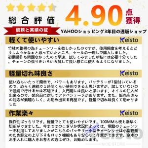 チェーンソー 充電式 電動チェーンソー 8イン...の詳細画像2