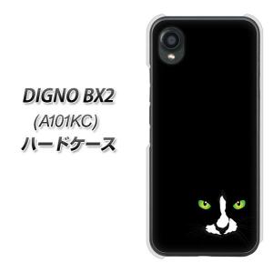 ディグノBX2 A101KC ハードケース カバー IB931 タイヤ 素材クリア UV