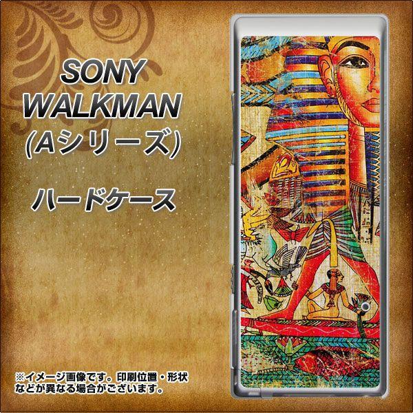 SONY ウォークマン NW-A10シリーズ NW-A10 ハードケース カバー 329 ナイル-ツ...