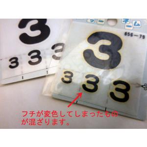 【在庫限り】 フロッキーネーム 数字 パンジー...の詳細画像2