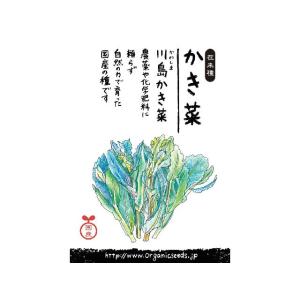 2063835-ms (取り寄せ商品) 国産自然...の商品画像