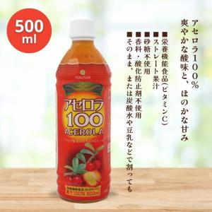 りんごジュース 凛の雫 山形県産サンふじりんごジュース 500ml×3本
