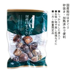 はまぐり 殻付きハマグリ 500g 砂抜き済ですぐ料理に使える！ 殻付