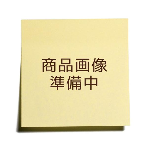 4161760-skレモンカステラ 5個【たんばや製菓】【春夏限定】