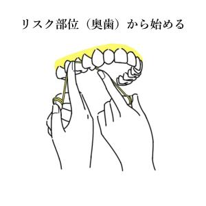 オーラルケア フロアフロス 250m 歯科医院専用の詳細画像3