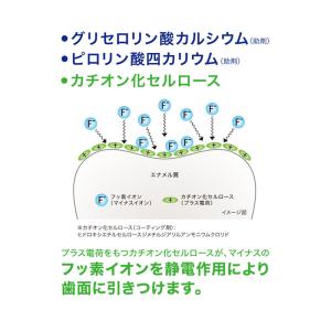 ライオン DENT. チェックアップ スタンダ...の詳細画像5