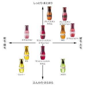 ミルボン エルジューダ グレイスオン エマルジ...の詳細画像1