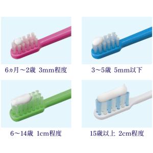 ライオン DENT. チェックアップジェル バ...の詳細画像3