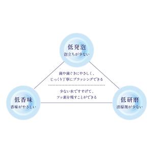 ライオン DENT. チェックアップスタンダー...の詳細画像1