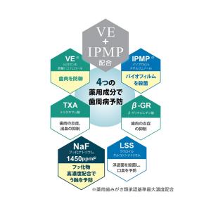 ライオン DENT. システマ SP-T ジェ...の詳細画像1