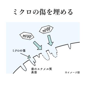 オーラルケア アパガード リナメル 120g ...の詳細画像2