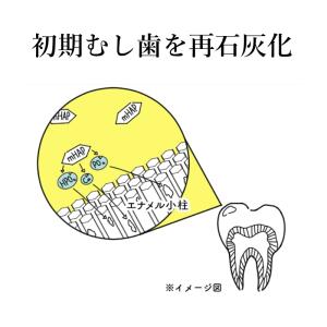 オーラルケア アパガード リナメル 120g ...の詳細画像3