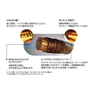 シュワルツコフ プロフェッショナル ファイバー...の詳細画像1