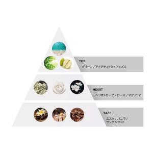 シュワルツコフ プロフェッショナル ファイバー...の詳細画像2