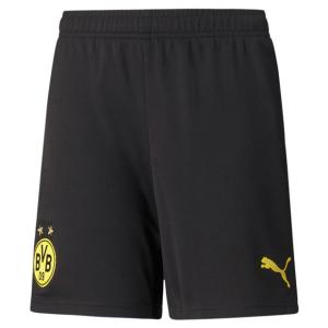 ドルトムント ユニフォーム ジュニアの商品一覧 通販 Yahoo ショッピング
