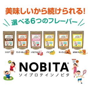 NOBITA ノビタ ソイプロテイン 600g...の詳細画像1
