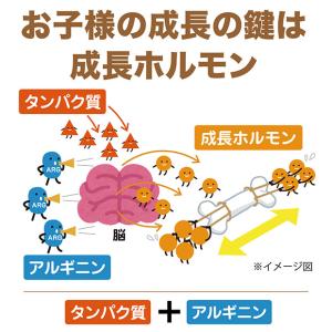 NOBITA ノビタ ソイプロテイン 600g...の詳細画像3