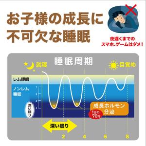 NOBITA ノビタ ソイプロテイン 600g...の詳細画像5