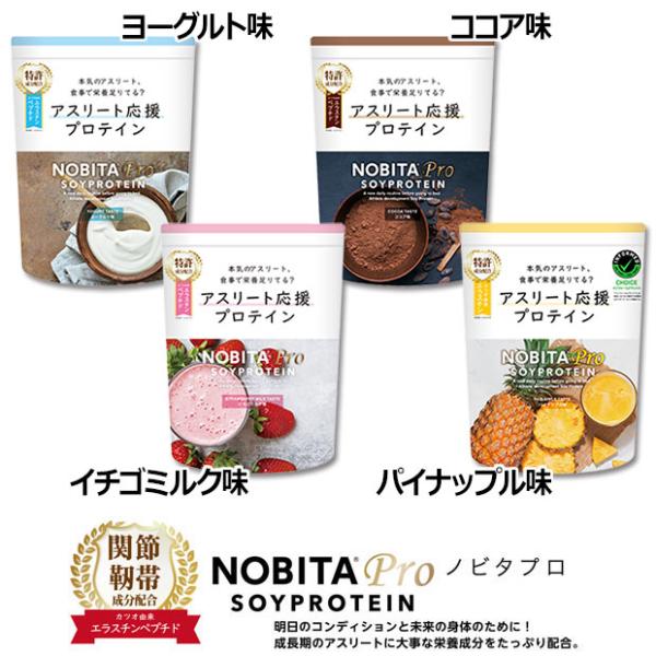 NOBITA PRO ノビタ プロ ソイプロテイン 750g　サッカーフットサルサプリメントfd-0...