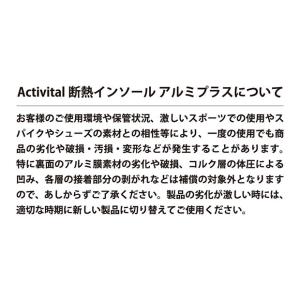 断熱インソール アルミプラス 【Activit...の詳細画像1