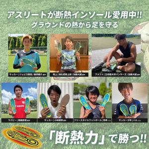 断熱インソール アルミプラス 【Activit...の詳細画像2