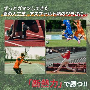 断熱インソール アルミプラス 【Activit...の詳細画像3