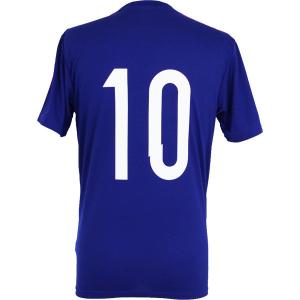 なでしこジャパン 2014 ホーム 半袖レプリカTシャツ　No.10　【adidas|アディダス】サッカー日本代表ウェアーikf63-d08801｜kemari87