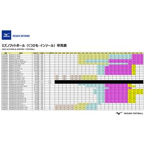 ZEROGLIDE シューレース 【MIZUN...の詳細画像4