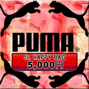 ジュニア PUMA HappyBag　【PUMA|プーマ】サッカーフットサルウェアーspecial-0093｜kemari87