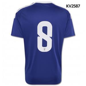 adidas（アディダス） 爆買!! サッカー日本代表 2026 コンフィットT