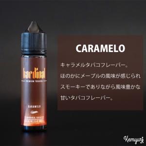 【SALE価格】KARDINAL 60ml｜kemyuri