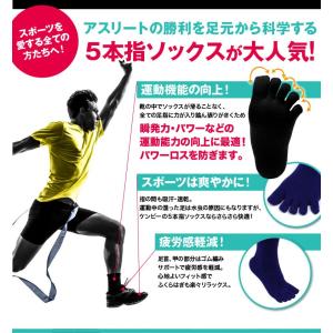 【送料無料】野球ソックス ジュニア 野球靴下5...の詳細画像1