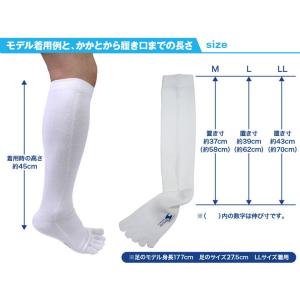 【送料無料】野球ソックス ジュニア 野球靴下5...の詳細画像5