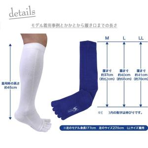 【刺繍サービスあり】 野球ソックス ジュニア ...の詳細画像3