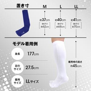 【1ヶ月保証つき】 野球ソックス 5本指 親指...の詳細画像3